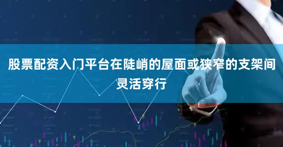 股票配资入门平台在陡峭的屋面或狭窄的支架间灵活穿行