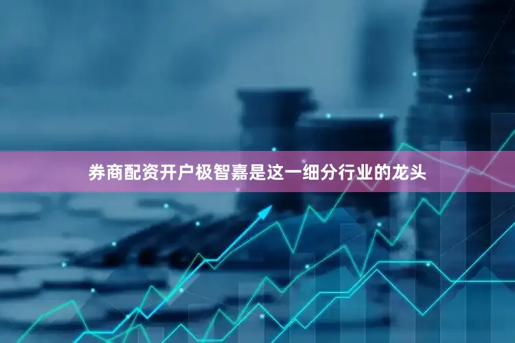 券商配资开户　　极智嘉是这一细分行业的龙头