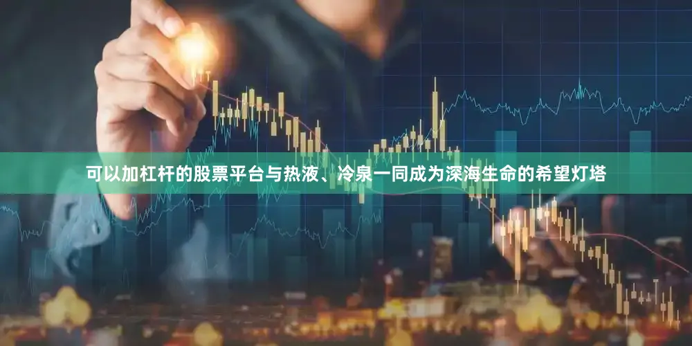 可以加杠杆的股票平台与热液、冷泉一同成为深海生命的希望灯塔