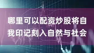 哪里可以配资炒股将自我印记刻入自然与社会