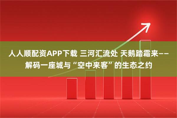 人人顺配资APP下载 三河汇流处 天鹅踏霜来——解码一座城与“空中来客”的生态之约